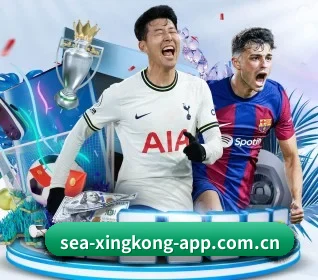星空体育在线 APP 界面